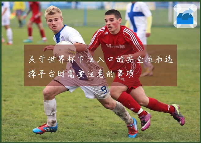 关于世界杯下注入口的安全性和选择平台时需要注意的事项