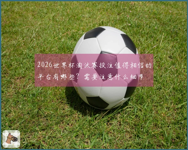 2026世界杯淘汰赛投注值得相信的平台有哪些？需要注意什么细节