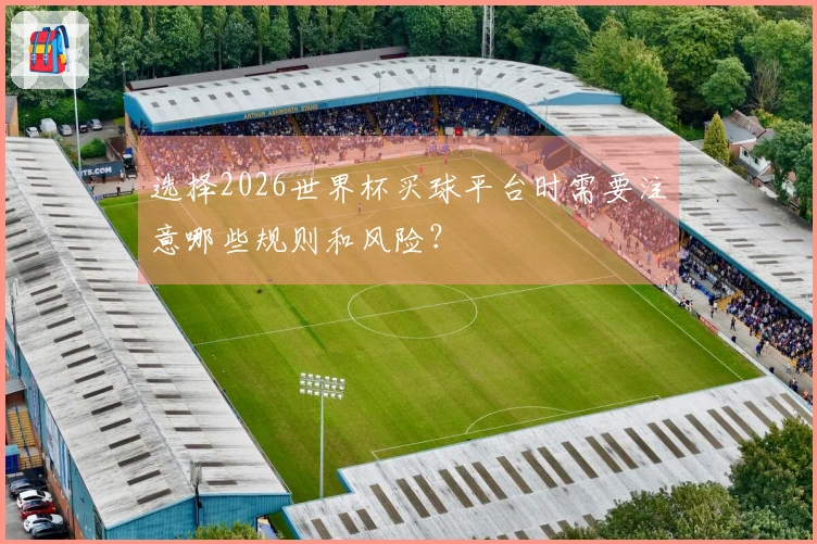 选择2026世界杯买球平台时需要注意哪些规则和风险？